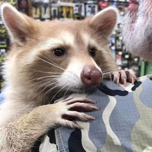 Meet your Posher, Bob